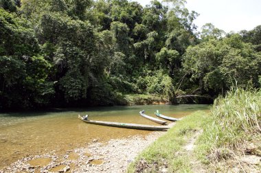 The rivers Borneo. clipart