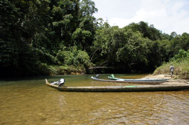 nehirler borneo.