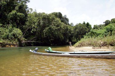 nehirler borneo.