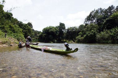 nehirler borneo.