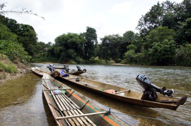 nehirler borneo.