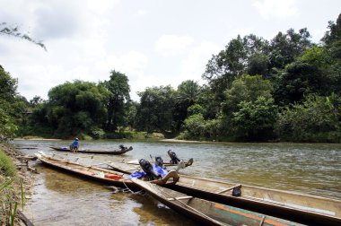 nehirler borneo.