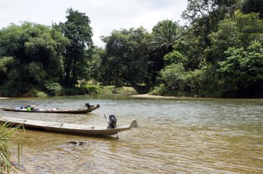 nehirler borneo.