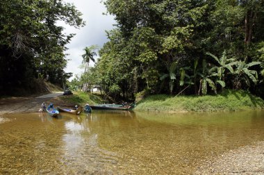 The rivers Borneo. clipart