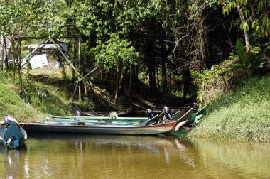 nehirler borneo.