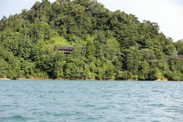 Lago em uma selva montanhosa de Bornéu — Fotografia de Stock
