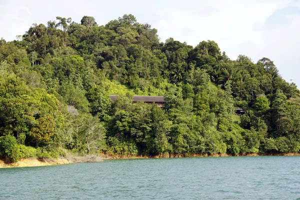 Lago in una giungla montuosa del Borneo — Foto Stock