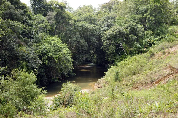 Borneo rzek. — Zdjęcie stockowe