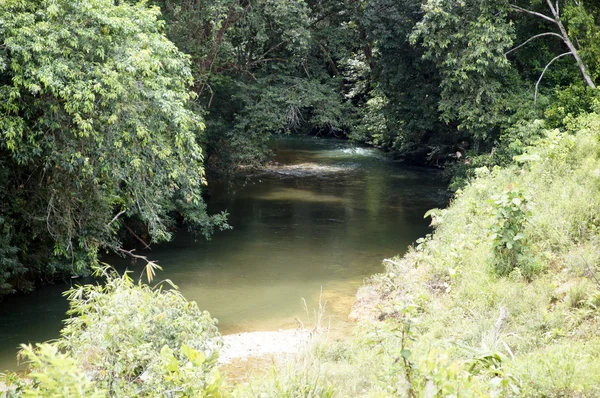 The rivers Borneo. — Stock Photo, Image