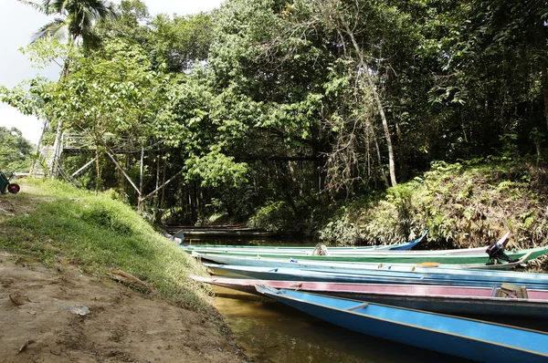 stock image The rivers Borneo.