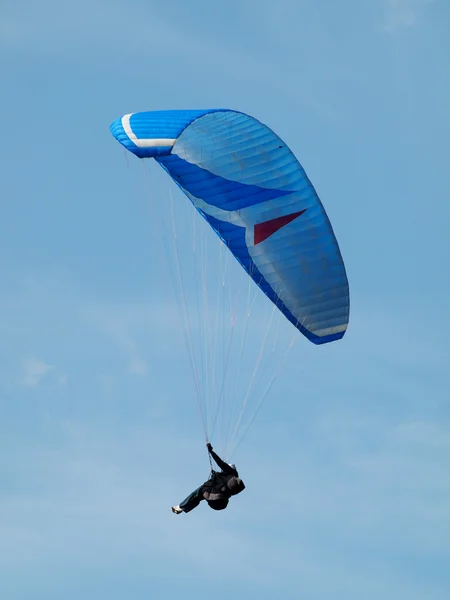 stock image Paragliding