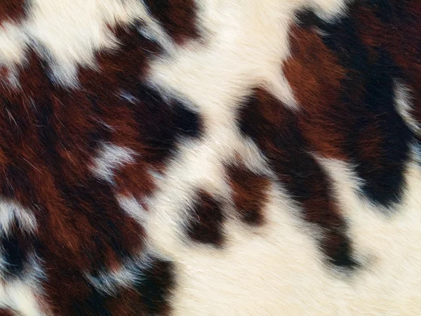 Fur background — Stock Photo, Image