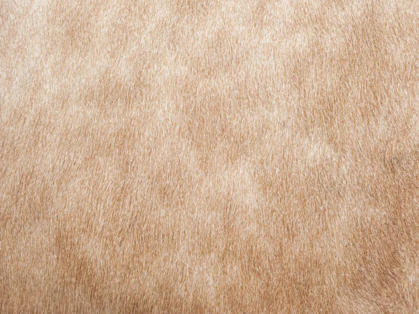 stock image Cow skin background