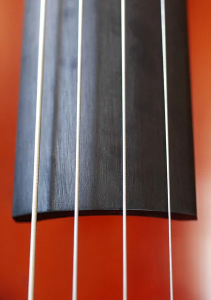 Close up de violoncelo — Fotografia de Stock