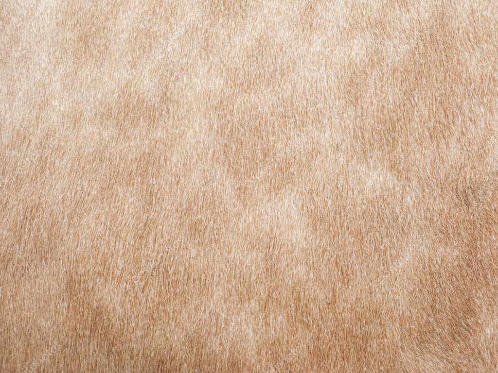 skin background stock photo 92353336 cow skin background stock photo 169 ldambies 2857004 skin background stock photo 92353336 cow skin background stock photo 169 ldambies 2857004