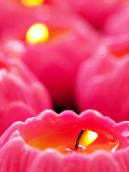 Velas rosa — Fotografia de Stock