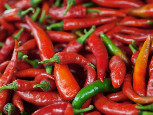 stock image Red chili peppers