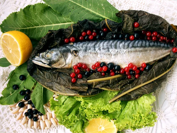 Alimentos para peixes 1 — Fotografia de Stock