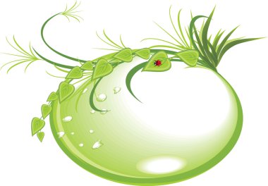 damla dal, çim ve uğur böceği