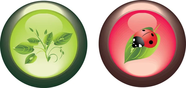 Deux boutons isolés. Concept de printemps — Image vectorielle