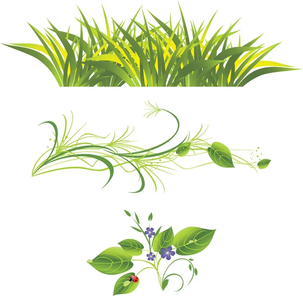 Pąk z kwiatów, trawy i biedronka — Wektor stockowy