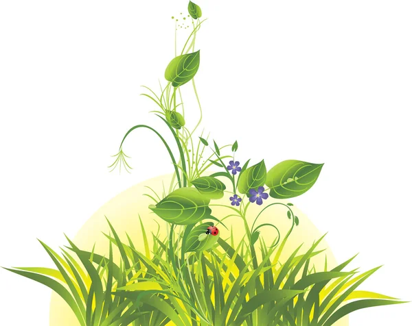 Kvist med blommor, gräs och ladybird — Stock vektor