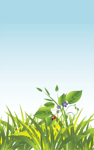 Herbe et fleurs avec coccinelle — Image vectorielle