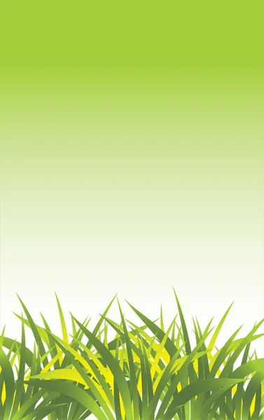 Grass. Abstract background — Stock Vector