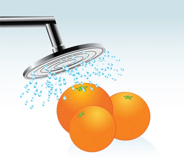 Naranjas bajo una ducha — Archivo Imágenes Vectoriales