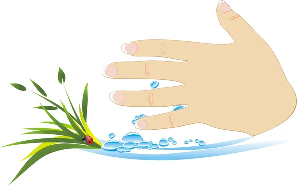 Ženská ruka s rostlinami a kapky — Stockový vektor