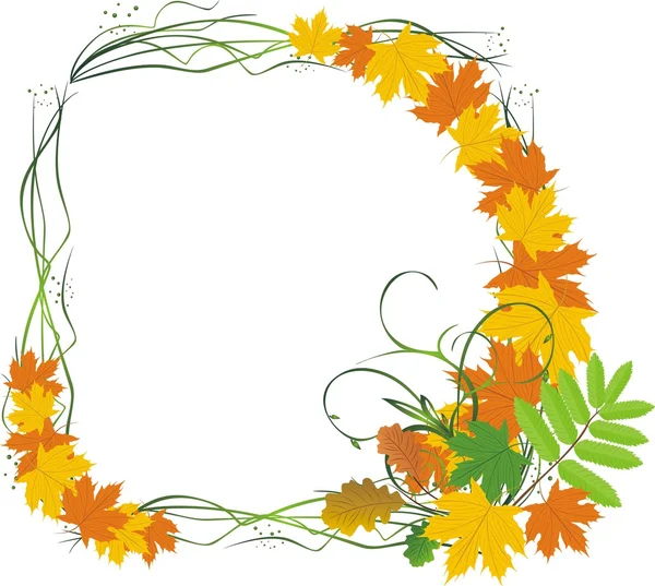 Bouquet de feuilles. Composition pour cadre — Image vectorielle