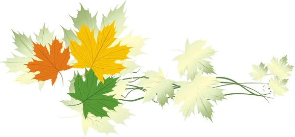 Varicolored maple leaves. Banner — Stock Vector