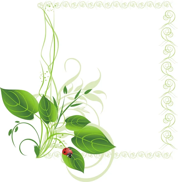 Rostliny a Beruška. dekorativní rámeček — Stockový vektor