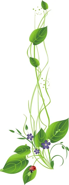 植物和瓢虫 — 图库矢量图片