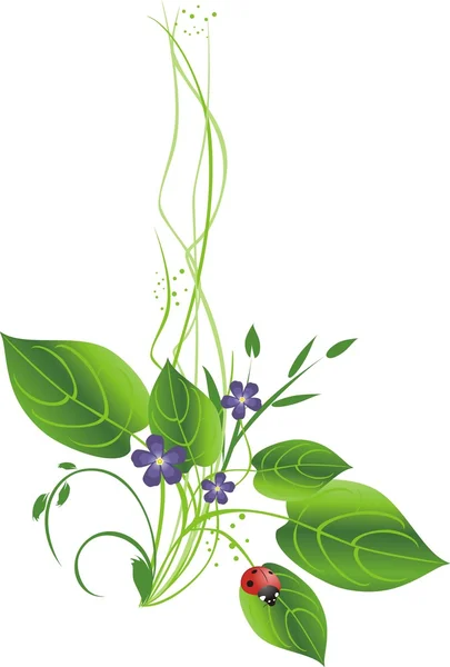 Bouquet de fleurs et coccinelle — Image vectorielle