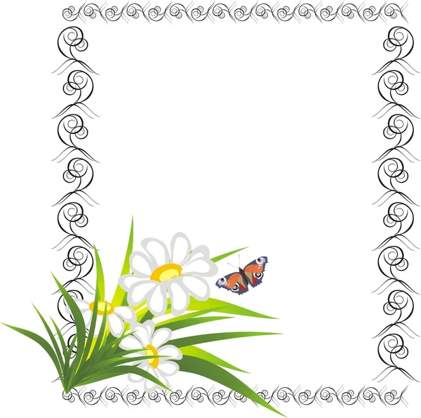 Chamomiles 和在帧中的蝴蝶 — 图库矢量图片