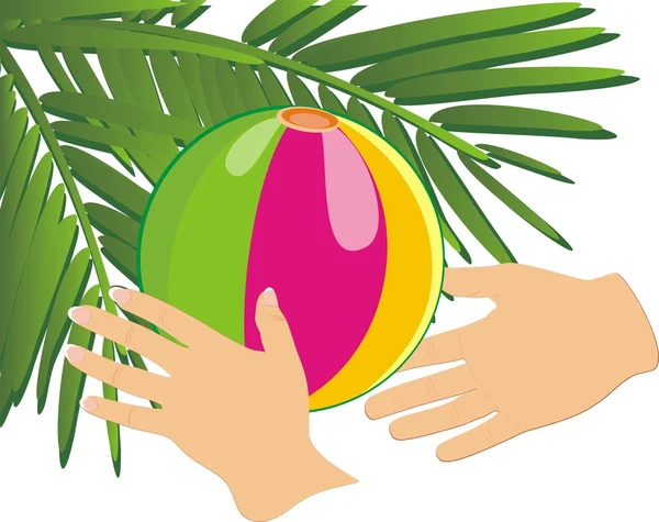 Manos, bola y rama de palma — Vector de stock