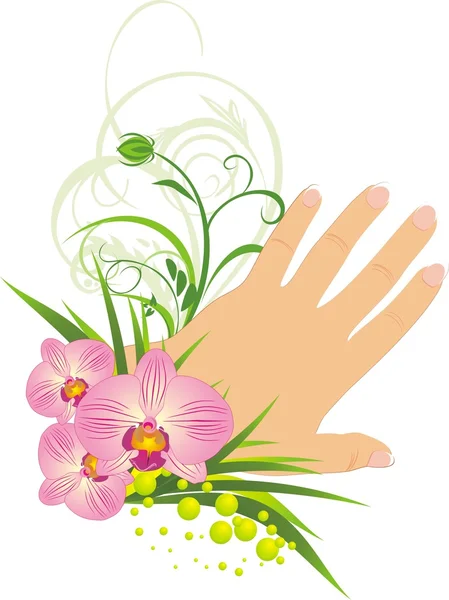 Manucure française et belles orchidées — Image vectorielle
