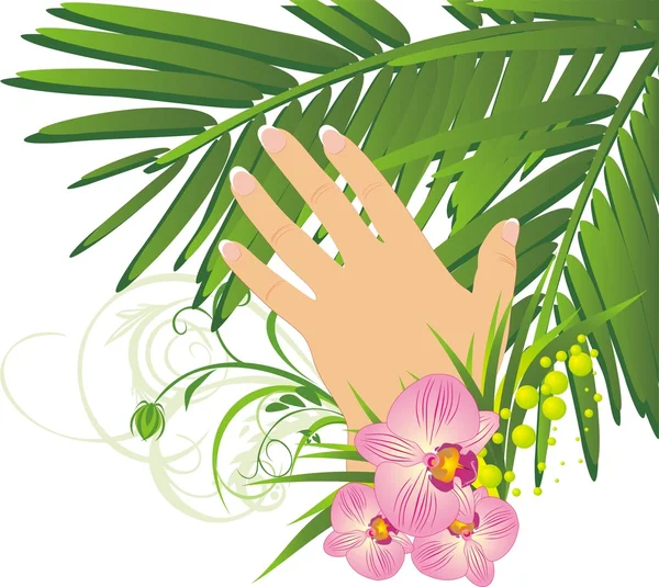 Mano y rama de palma de mujer — Vector de stock