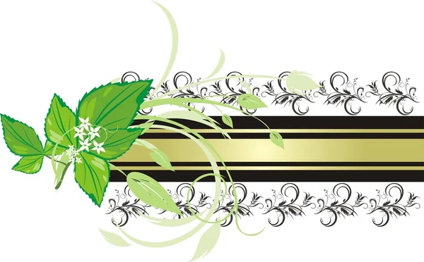 Un ramoscello di menta. Bandiera decorativa — Vettoriale Stock