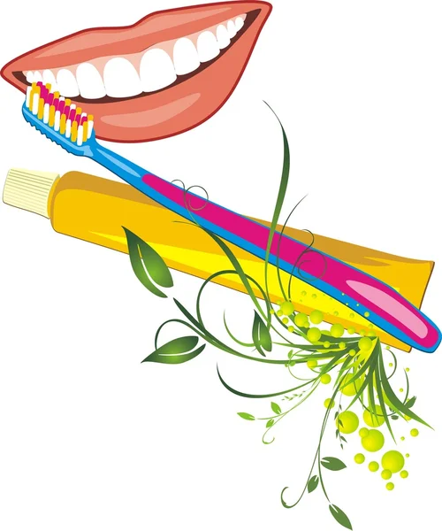 Sonrisa femenina, cepillo de dientes y pasta — Vector de stock