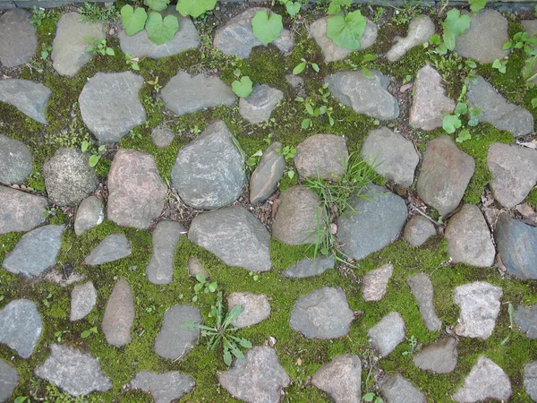 Kövek és moha Stock Kép