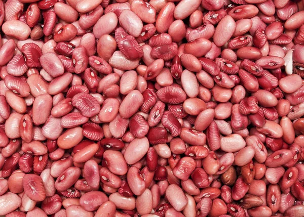 Syrové fazole — Stock fotografie
