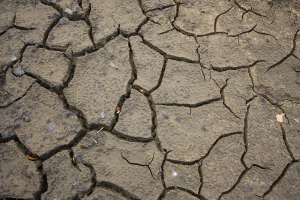 stock image Cracks in mud