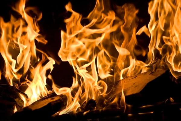 Tűz a lángok Stock Kép