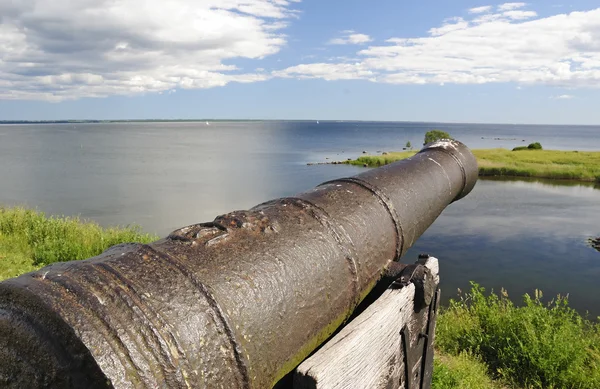 Cannone storico svedese — Foto Stock