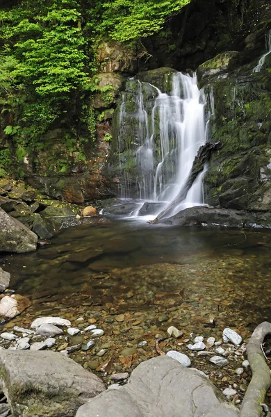 Jungfräulicher Wasserfall — Stockfoto