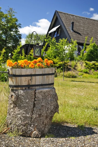Sommar trädgård dekoration — Stockfoto
