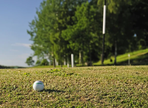 Bola de golfe no caminho certo — Fotografia de Stock