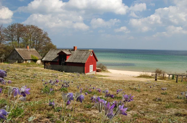 Våren hav landskap — Stockfoto